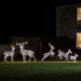 Conjunto de 5 Renas Natalinas Iluminadas com LEDs Bicolor – Encanto e Luz para Sua Decoração de Natal