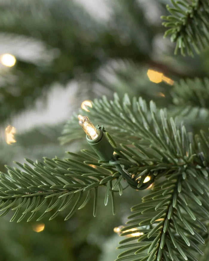 Árvore de Natal European Fir com Luzes LED Embutidas e Suporte Metálico