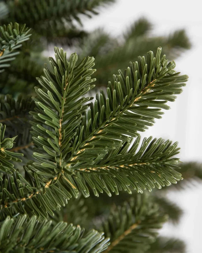 Árvore de Natal Fraser Fir com Luzes LED Coloridas e Base Metálica