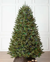 Árvore de Natal Fraser Fir com Luzes LED Coloridas e Base Metálica