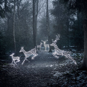 Conjunto de 5 Renas Natalinas Iluminadas com LEDs Bicolor – Encanto e Luz para Sua Decoração de Natal