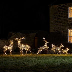 Conjunto de 5 Renas Natalinas Iluminadas com LEDs Bicolor – Encanto e Luz para Sua Decoração de Natal