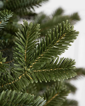 Árvore de Natal Fraser Fir com Luzes LED Coloridas e Base Metálica