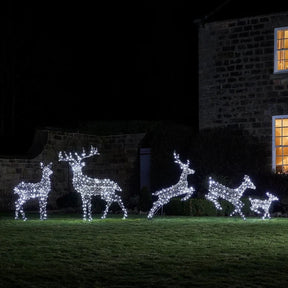 Conjunto de 5 Renas Natalinas Iluminadas com LEDs Bicolor – Encanto e Luz para Sua Decoração de Natal